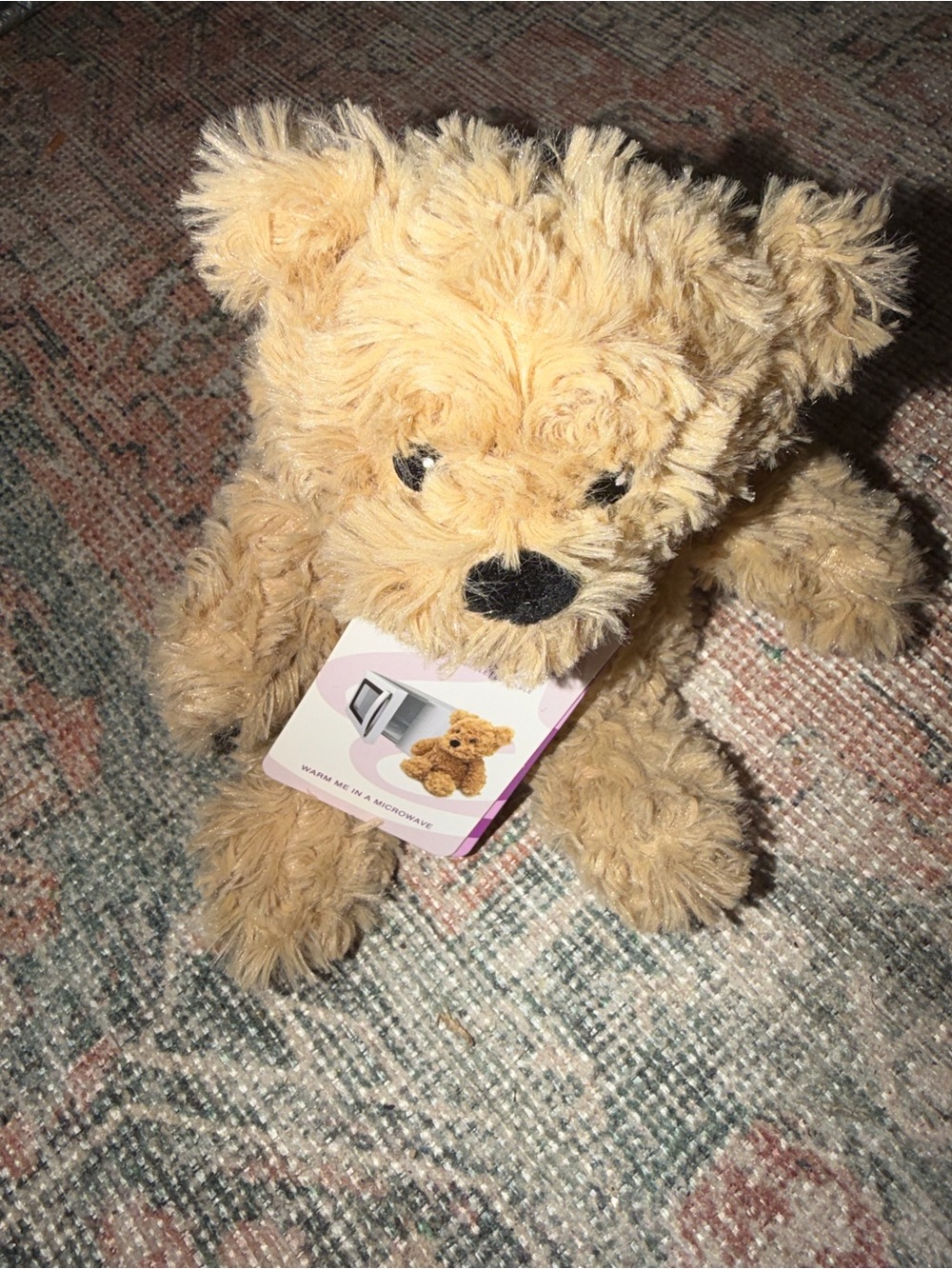Warmies Brown Curly Bear - Plush Microwavable NWT Mini 7” - Picture 2 of 8